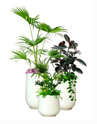 海曙绿植租摆申请-江北绿植租摆服务商-奉化绿植租摆技术-慈溪绿化养护施工工具